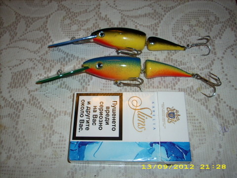 DSCI0706.JPG