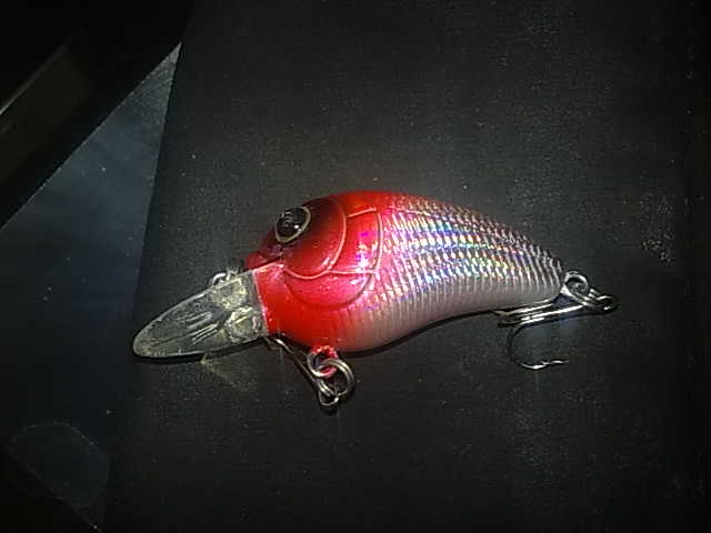 230920123887.jpg