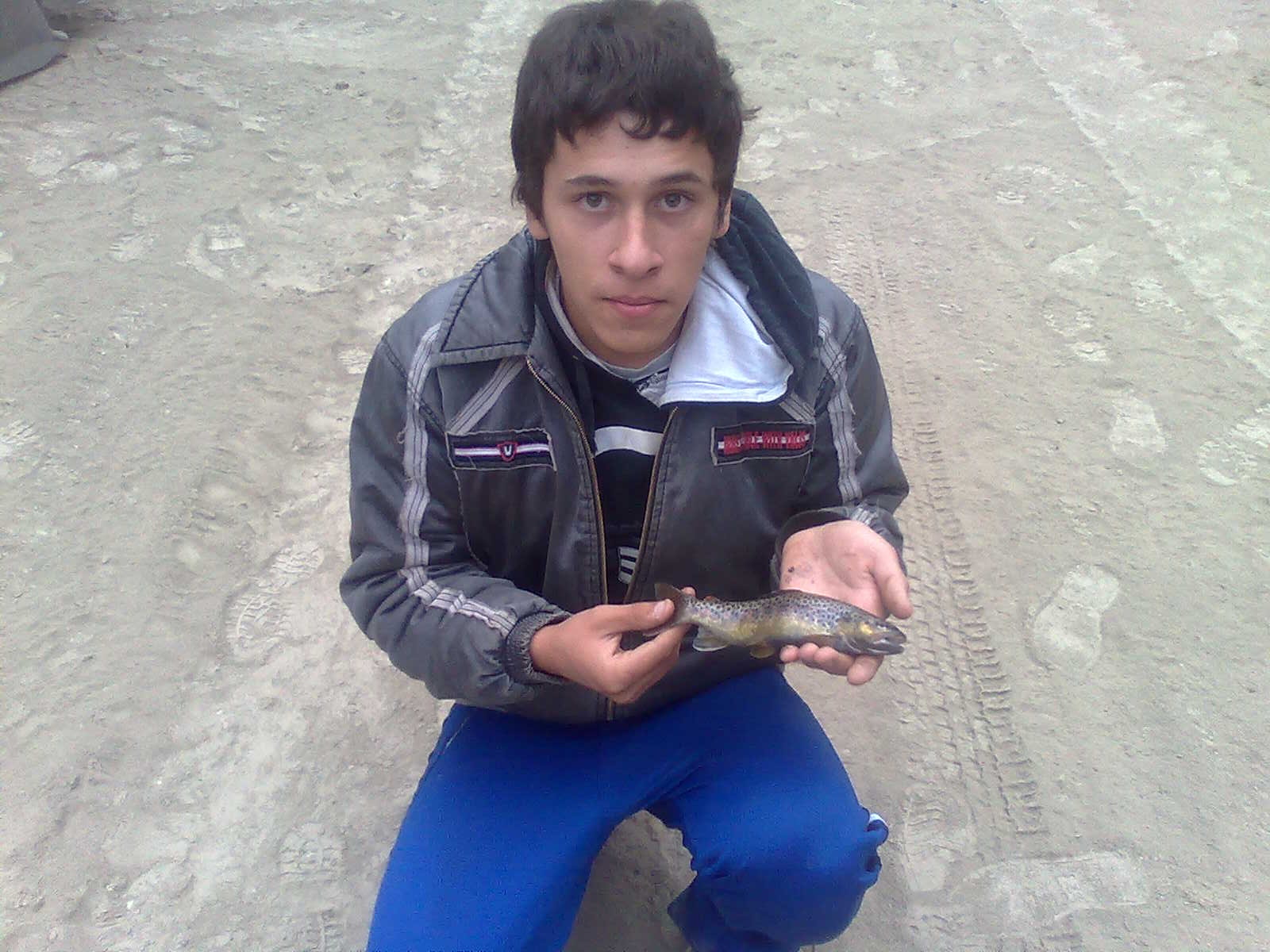 Nokia0158.jpg