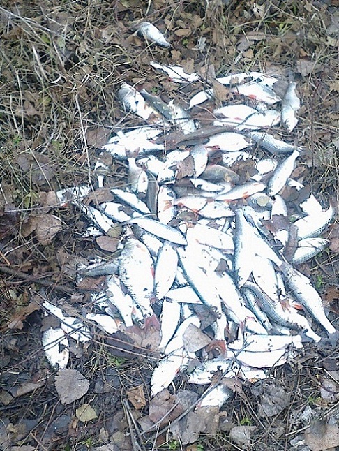 30122012049.jpg