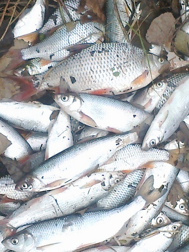 30122012051.jpg