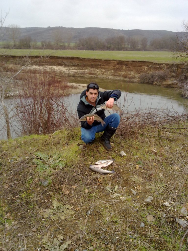 02012013016.jpg