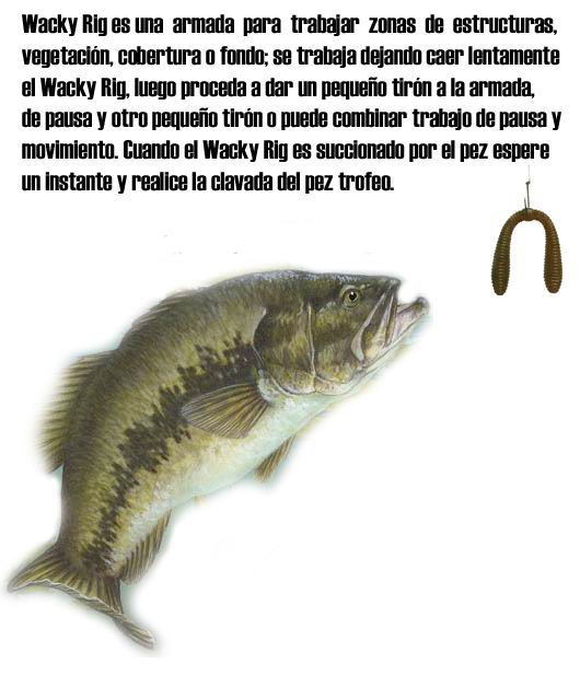 wackyrig7jp.jpg