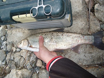 IMG_1144.JPG