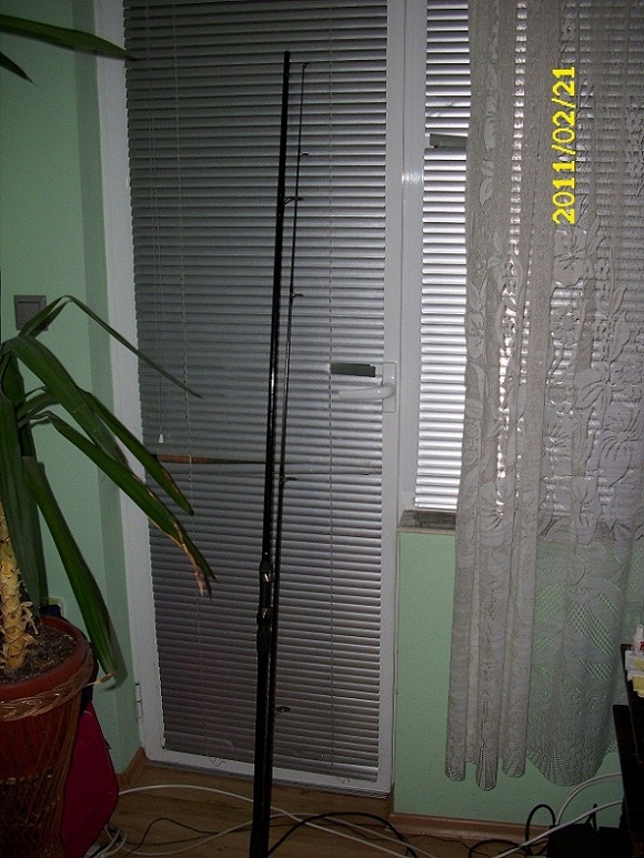 009.JPG