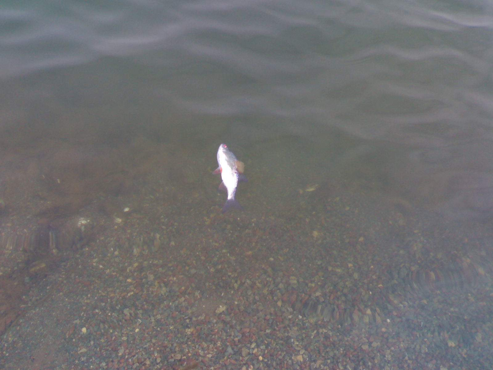 04032011120.jpg