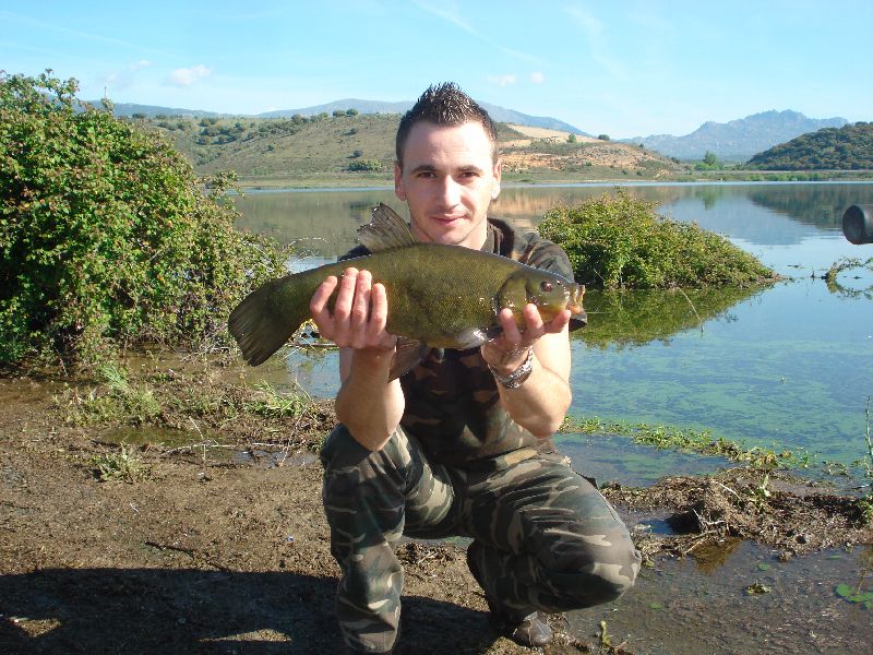 DSC07568 - copia.JPG