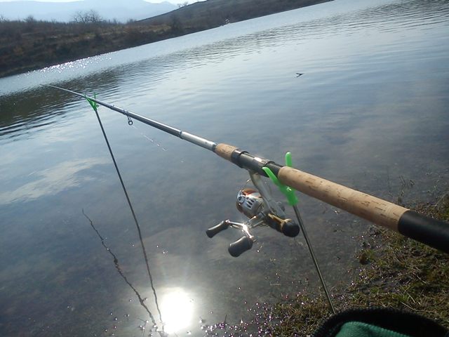 DSC00132.jpg