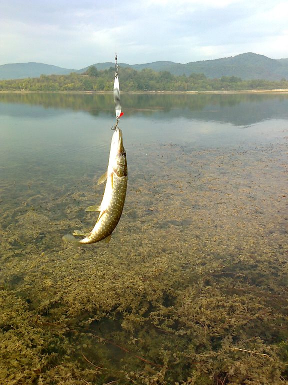 Снимка0445.jpg