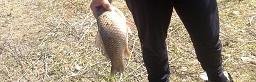 13042013120.jpg