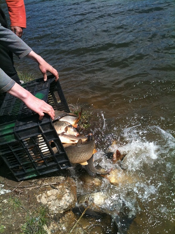 2013-04-18 12.54.16.jpg