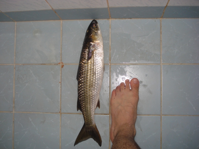 DSC06893.JPG