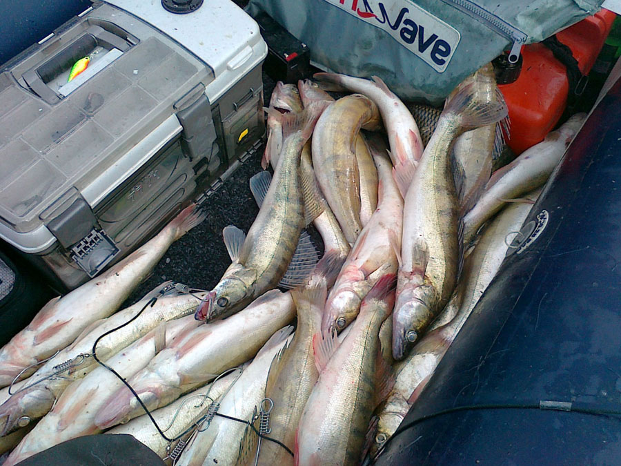 07062009023.jpg
