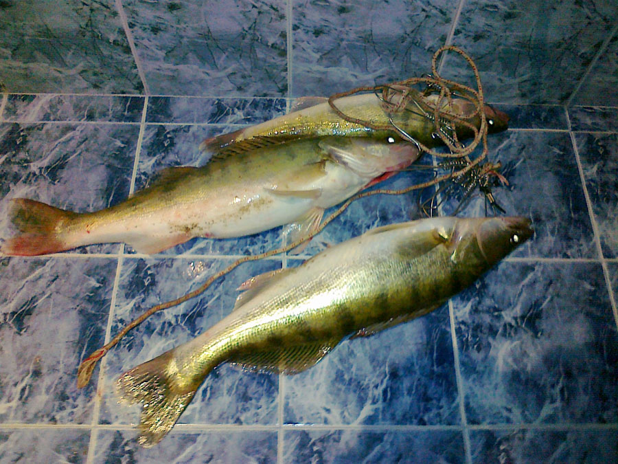 03112010006.jpg