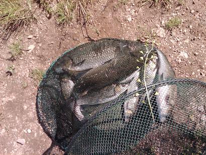 IMG00504-20130502-1021.jpg