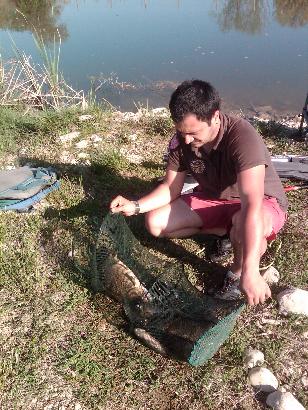 IMG00506-20130502-1800.jpg