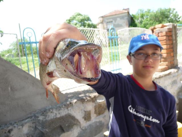 922703_661701973846779_1637625412_n (1).jpg