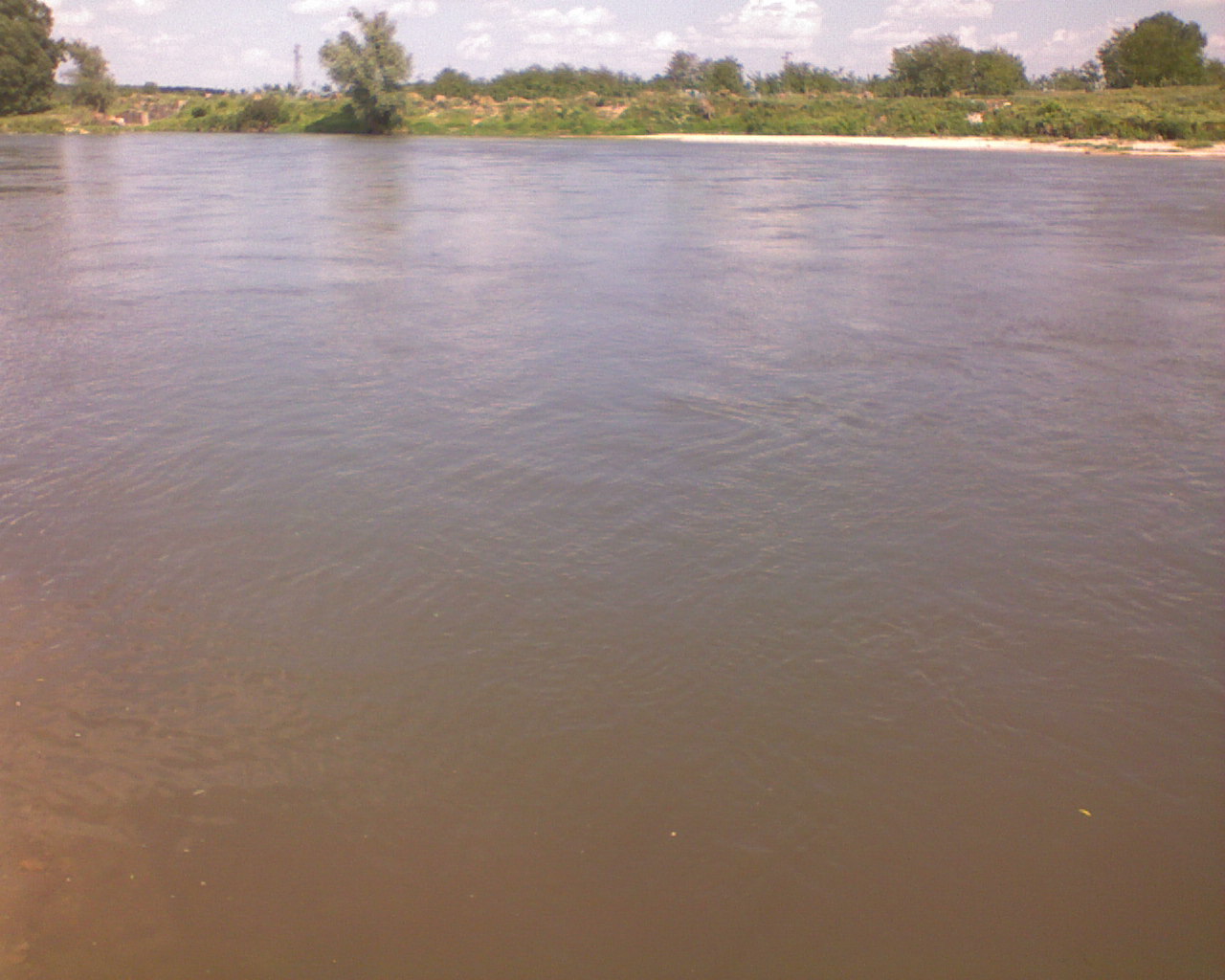 DSC00011.JPG