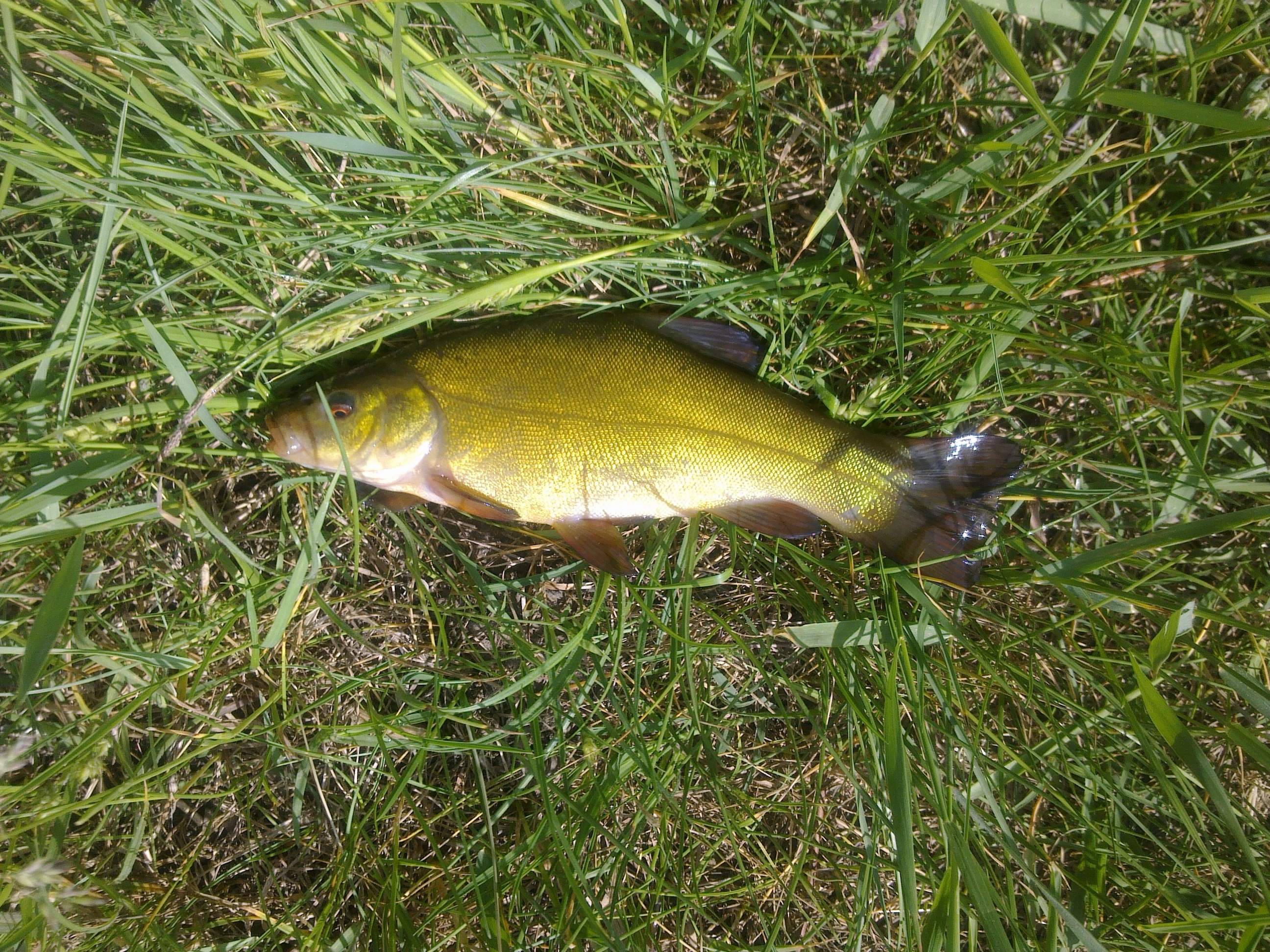 Image0262.jpg