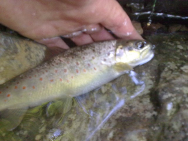 10072013040.jpg