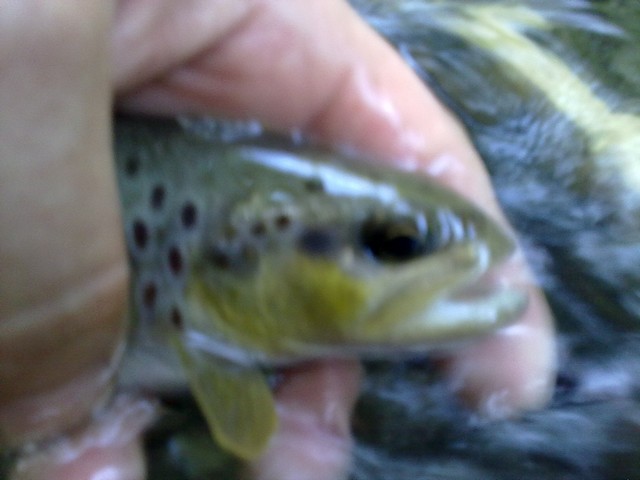 10072013038.jpg