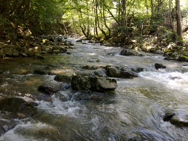 10072013037.jpg