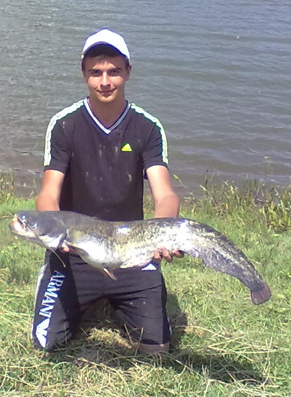 1407201377.jpg