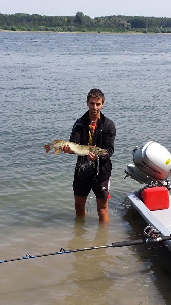 20130817_120401.jpg