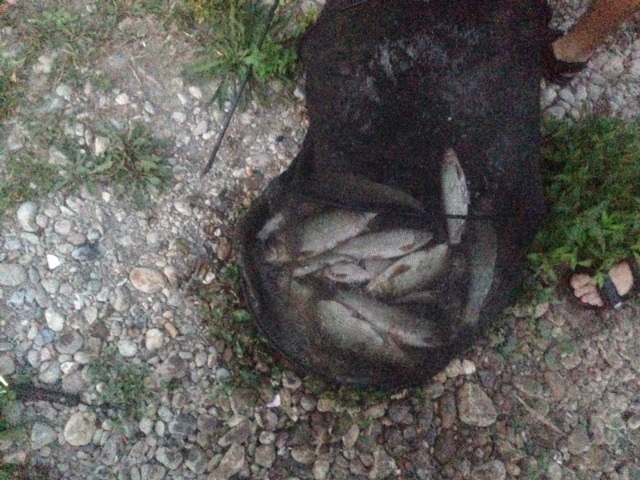 image.jpg