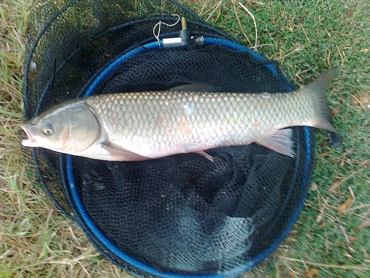 Пода 30.08.2013.jpg