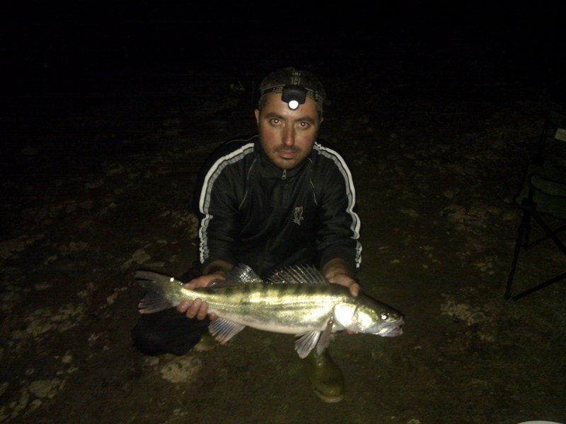 1_800x600.jpg