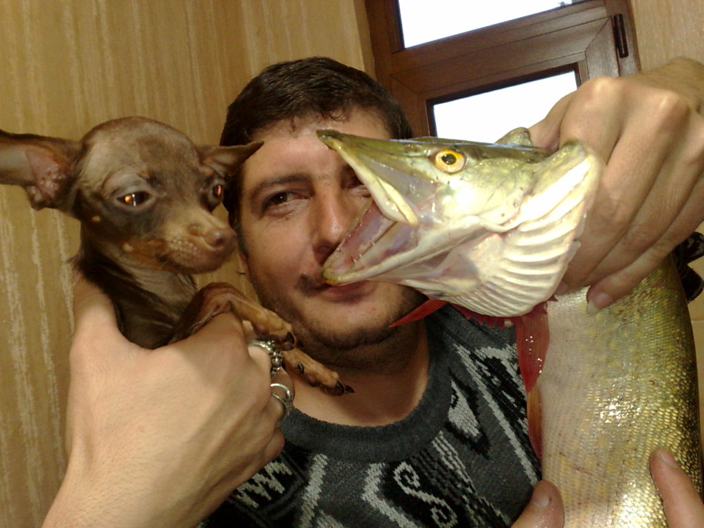 191020101681.jpg