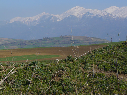 Angista Planina.jpg