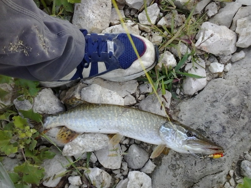 2013-09-08 07.26.55a.jpg