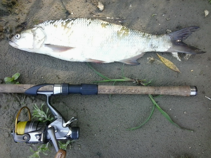 2013-09-10 13.26.19a.jpg