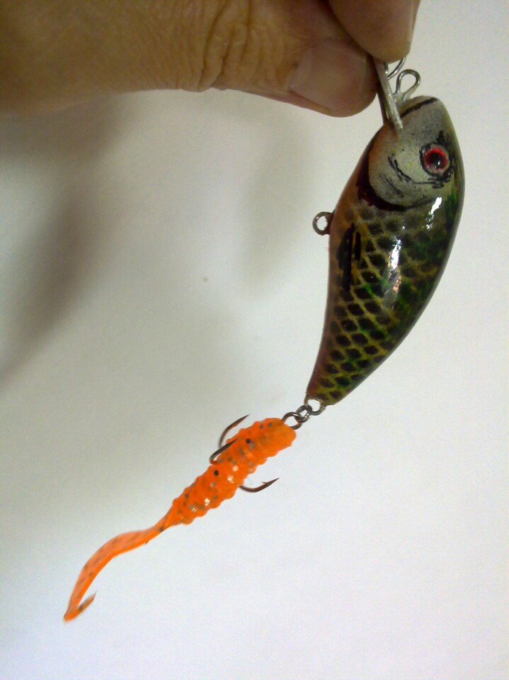 280520122359_q1.jpg