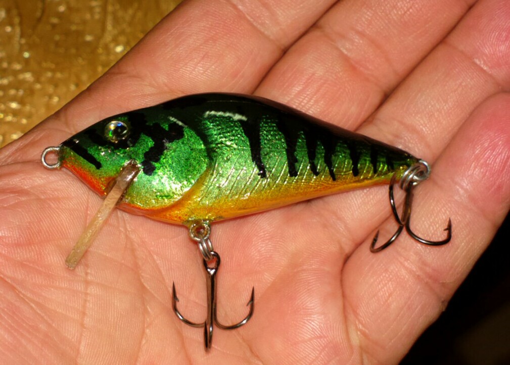 2013-09-10-2558_q1_q1.jpg