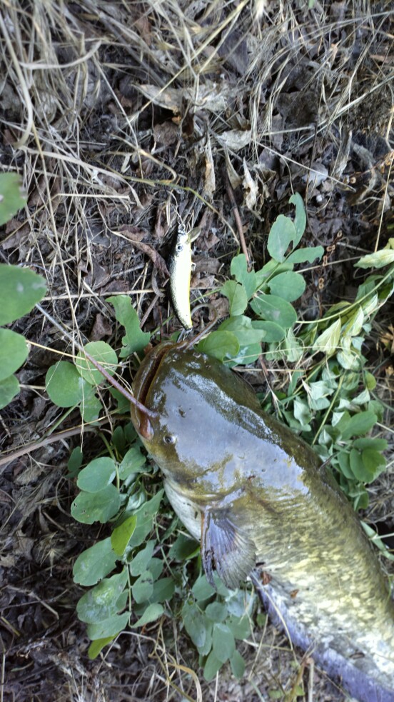 2013-07-03-2009_q1.jpg