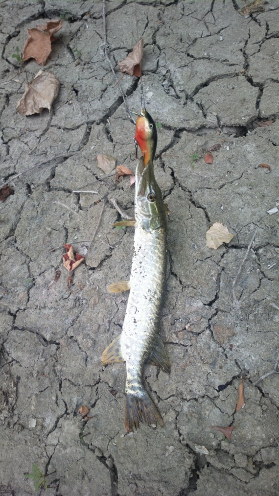 2013-08-24-2415_q1.jpg