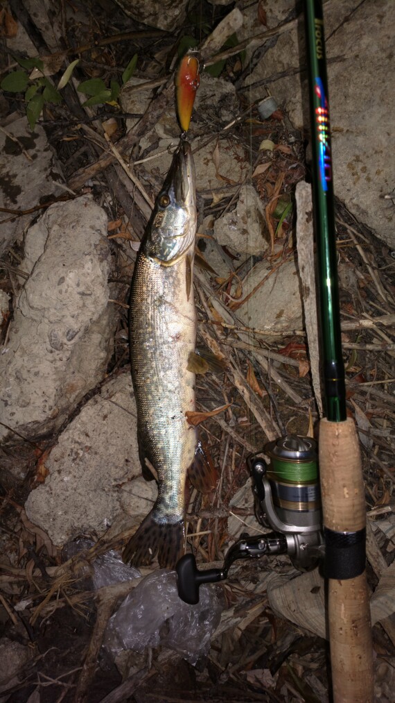 2013-08-27-2457_q1.jpg