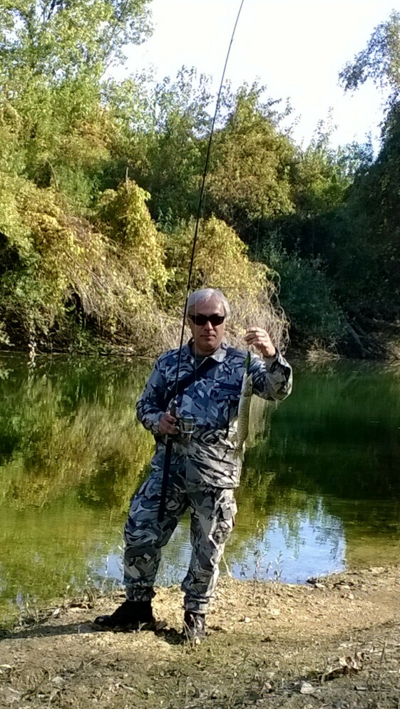wp_20131020_001_q1_q1.jpg
