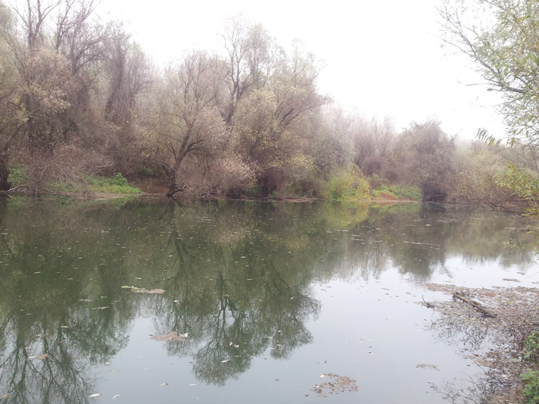 20131119_125548о.jpg