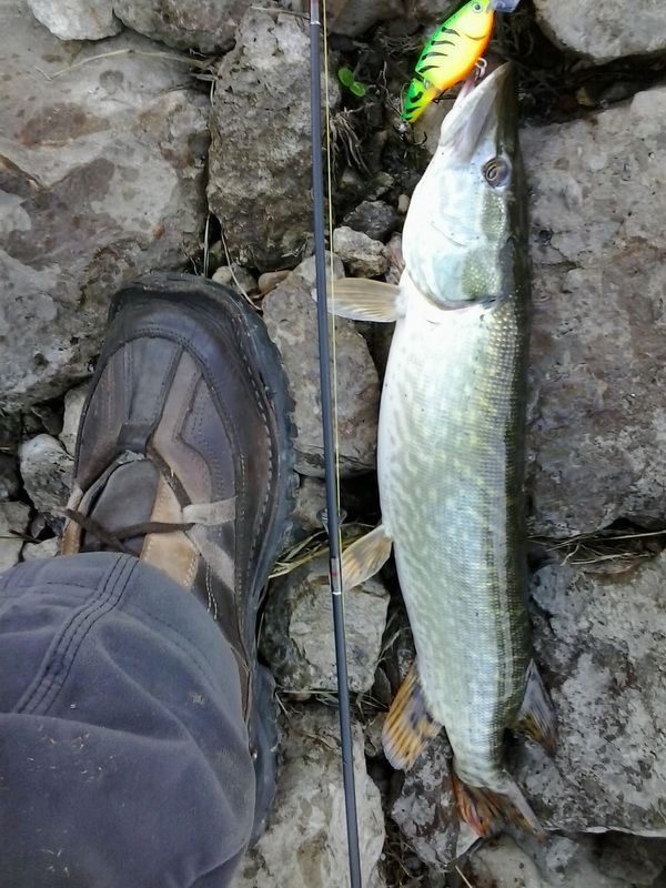 2013-11-03 09.01.46A.jpg