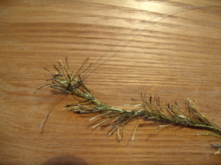 004-1.jpg