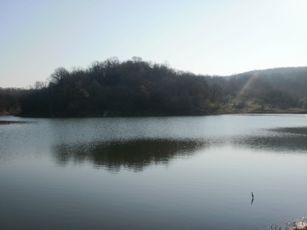P3140155 - Copy.JPG