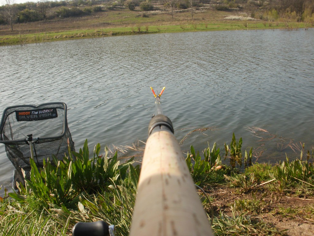 P3290177 - Copy.JPG