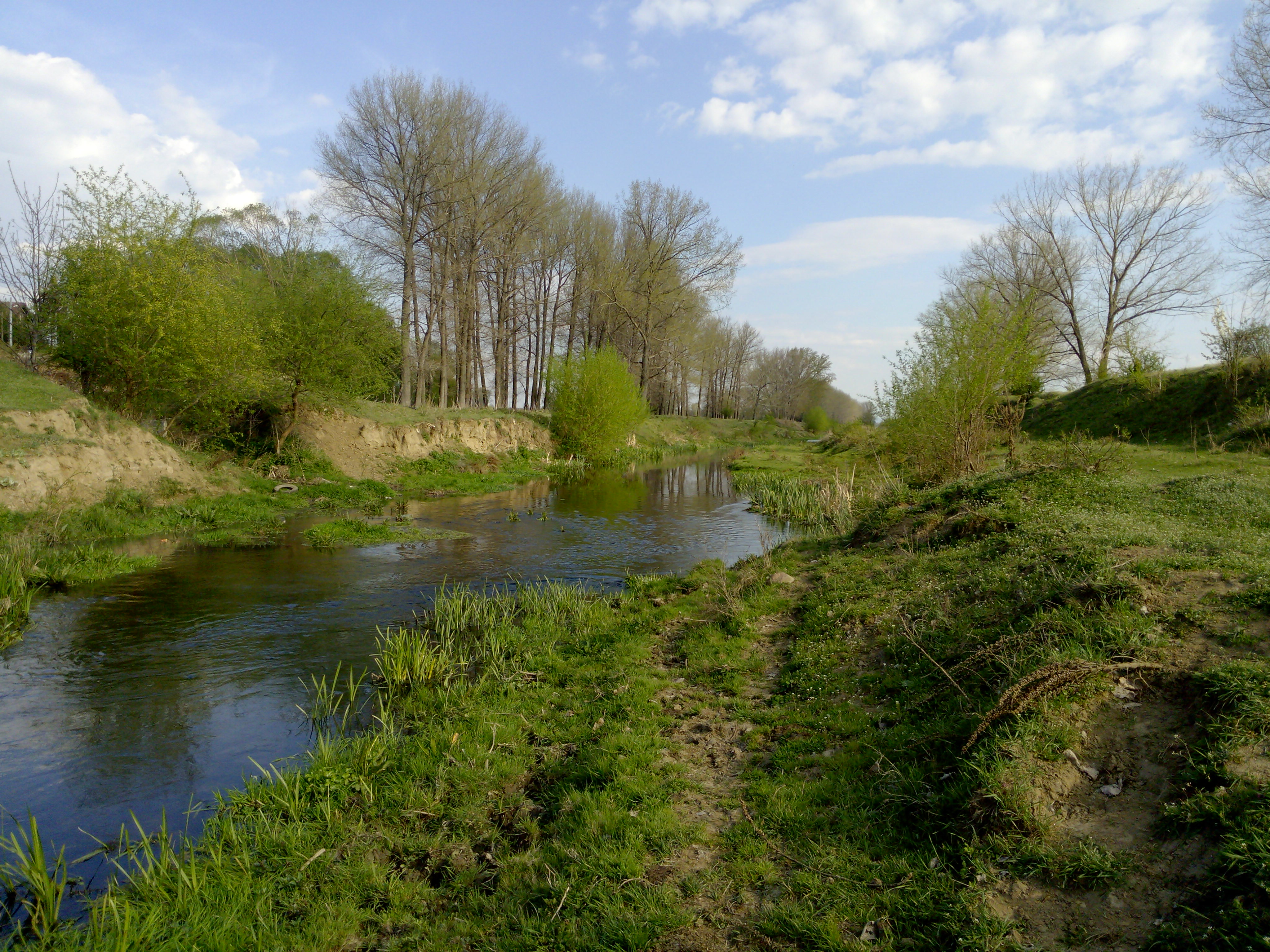 IMG_20140408_172255.jpg