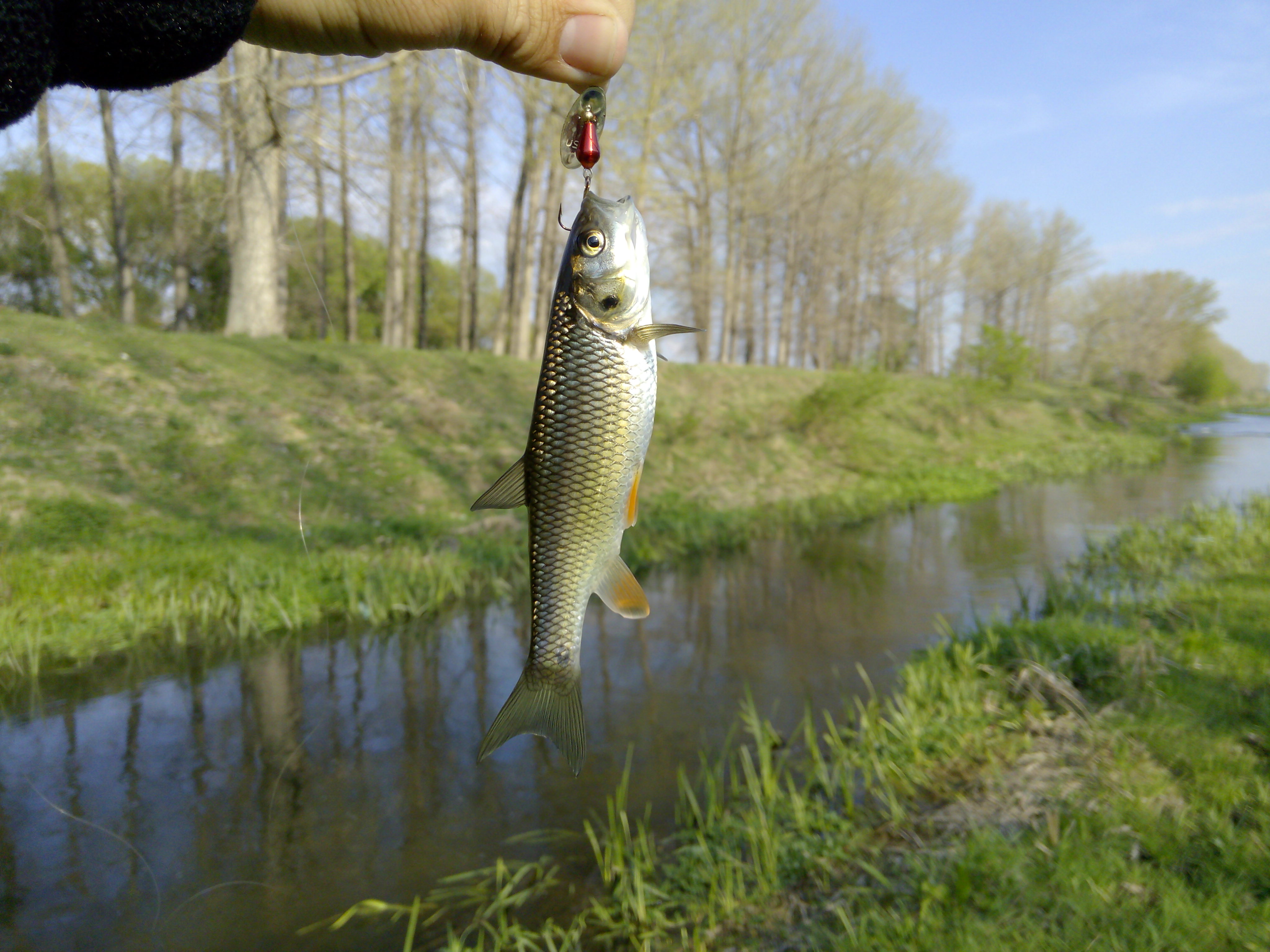IMG_20140408_173730.jpg