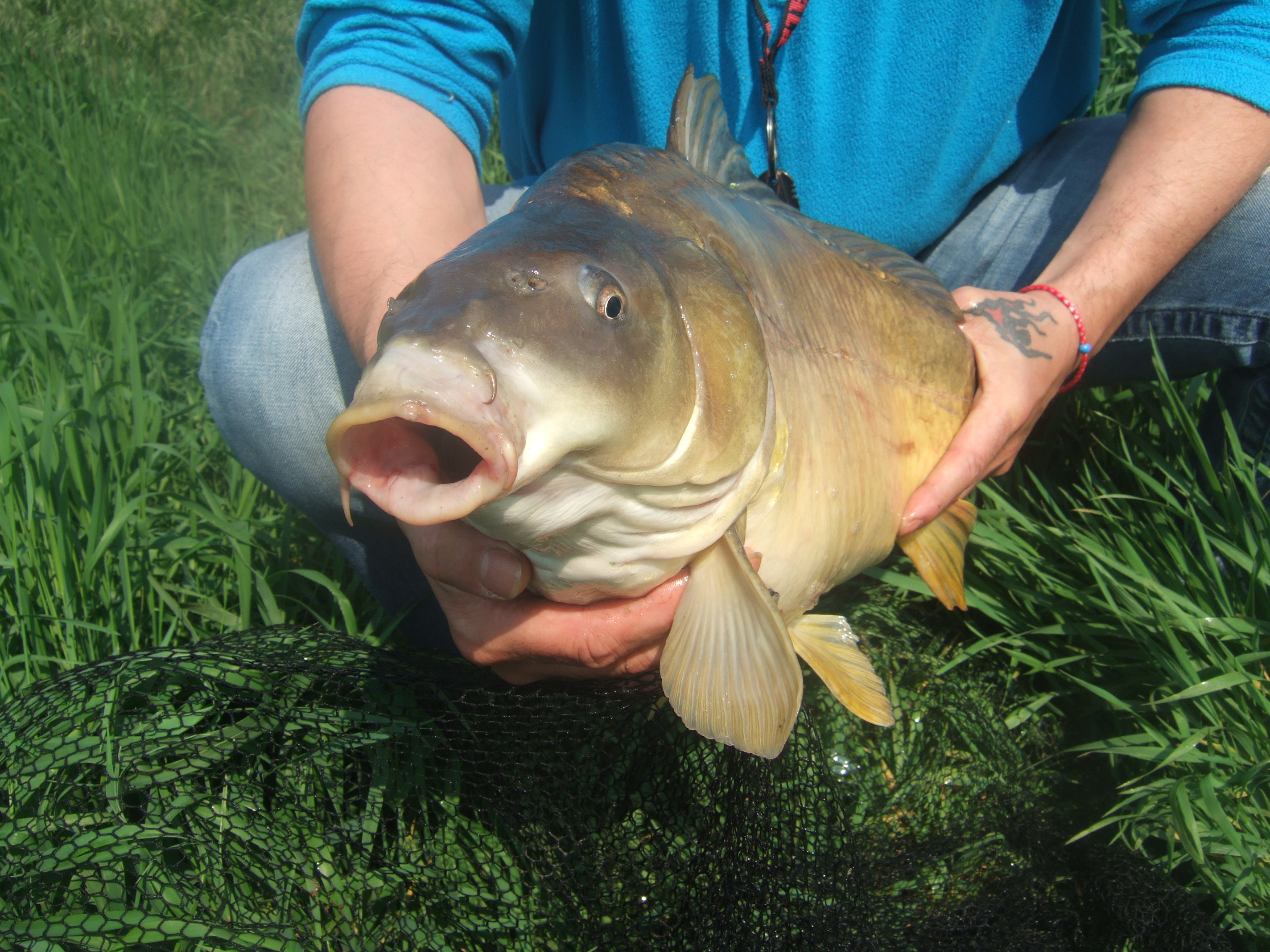 DSCF2580.JPG