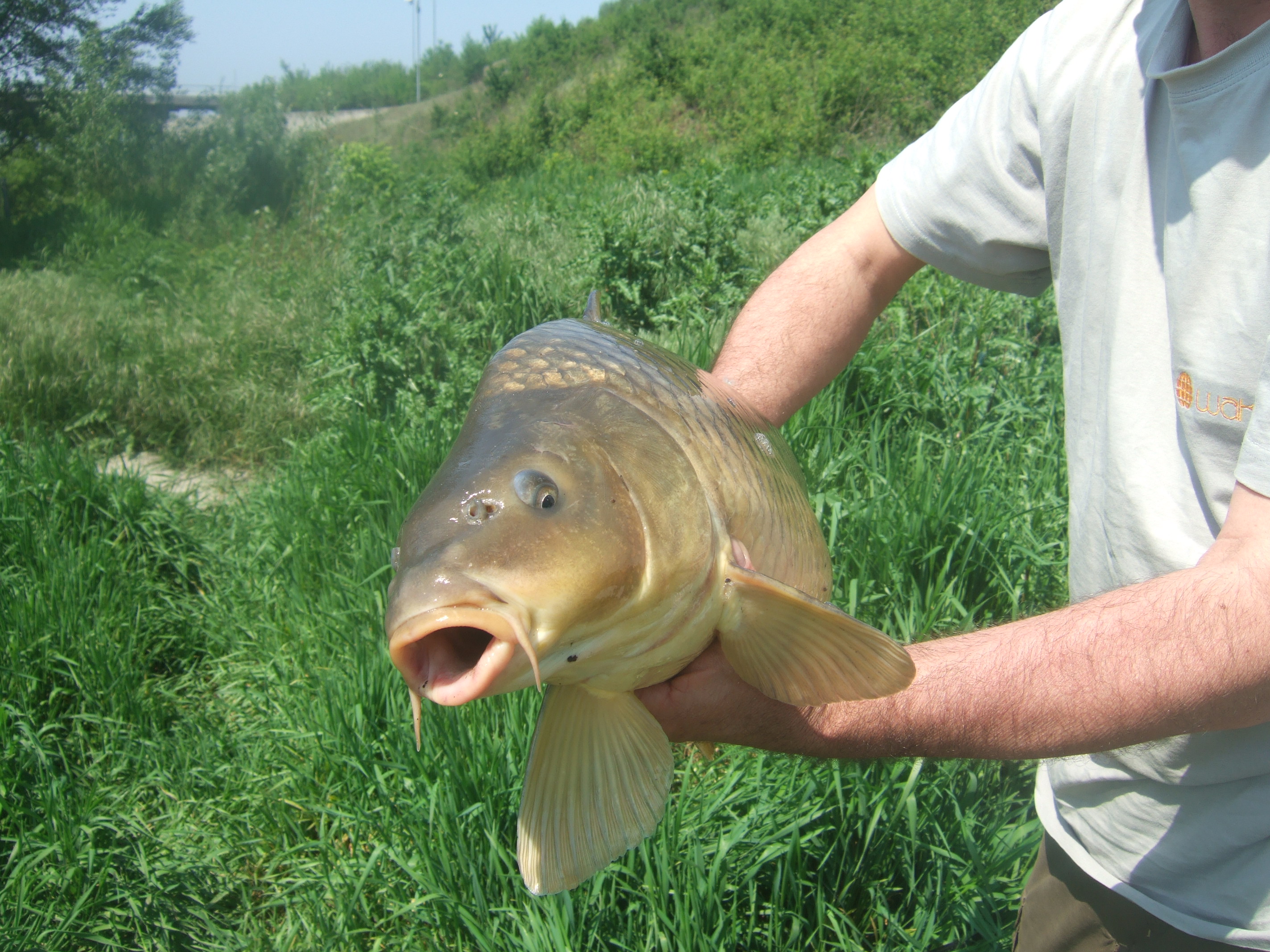 DSCF2588.JPG